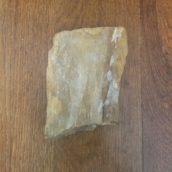 Petrified Wood Display Specimen Mitchell County Nc. 1lb 12oz. - Picture 8 of 10